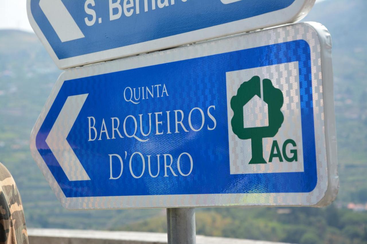 Quinta Barqueiros D'Ouro - Casa Da Musica Villa Mesão Frio Exterior foto